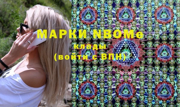 индика Приозерск