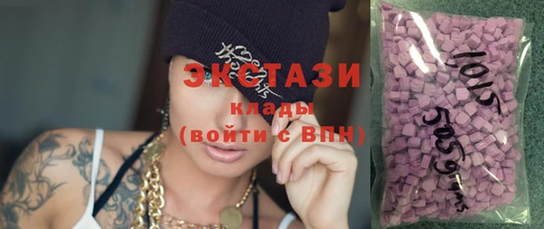 индика Приозерск