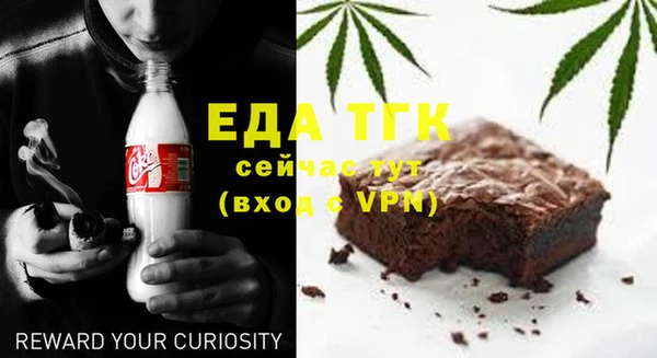 индика Приозерск