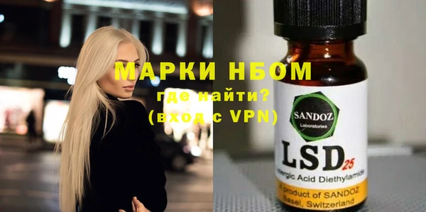 индика Приозерск