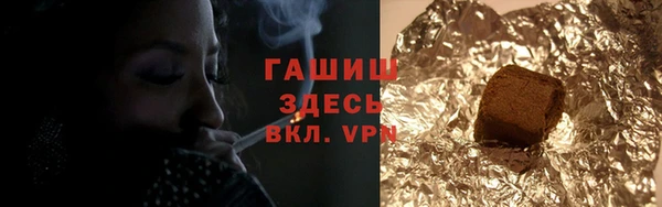 индика Приозерск