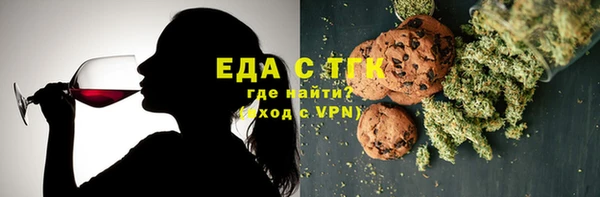 индика Приозерск