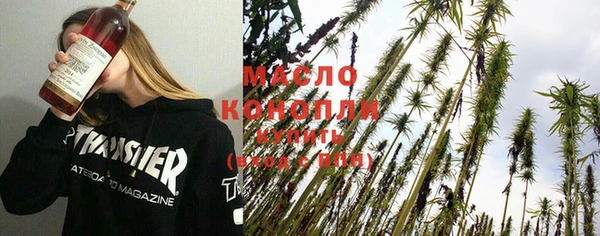 индика Приозерск