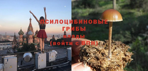 индика Приозерск