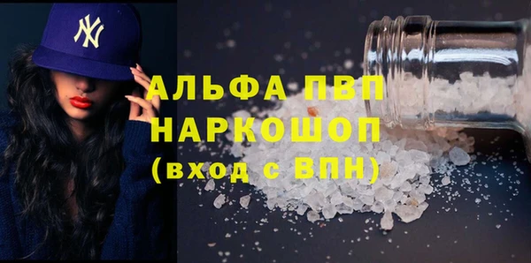 индика Приозерск