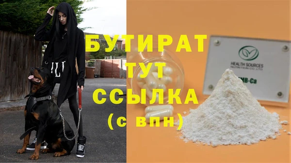 индика Приозерск